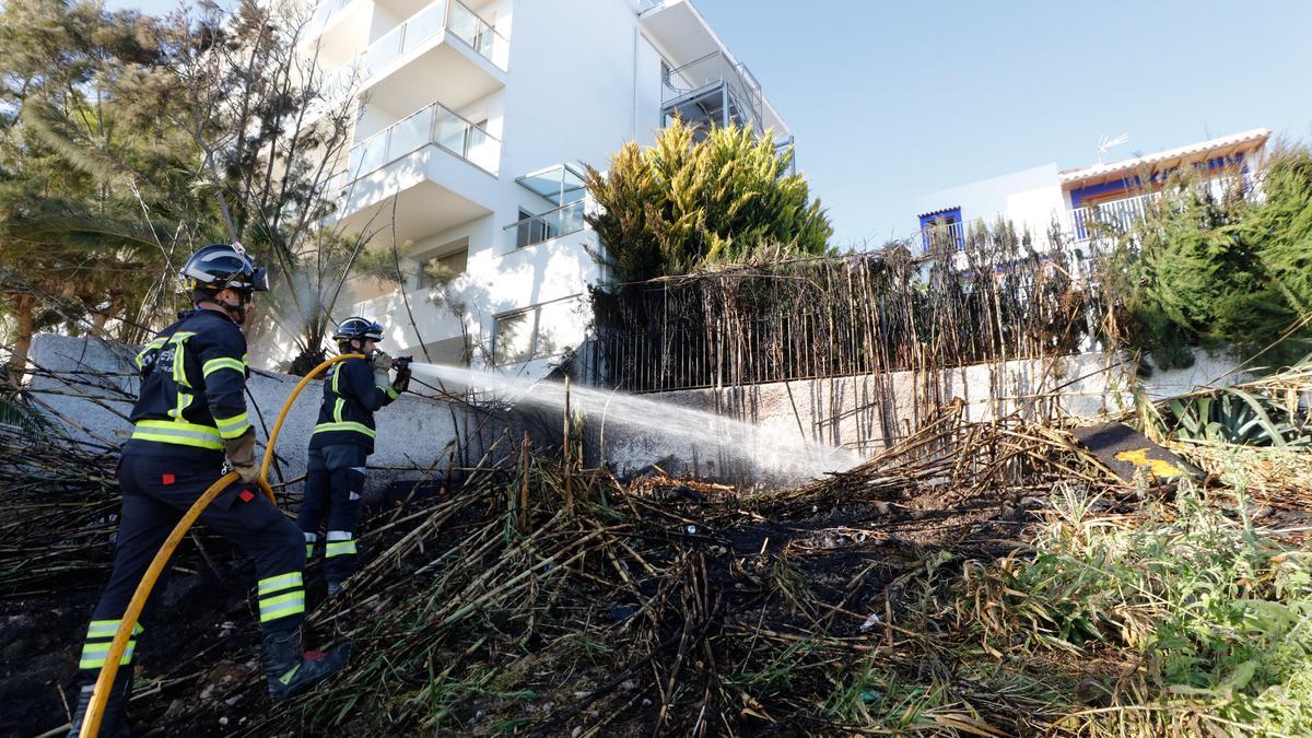 El incendio prendió en una zona de maleza.