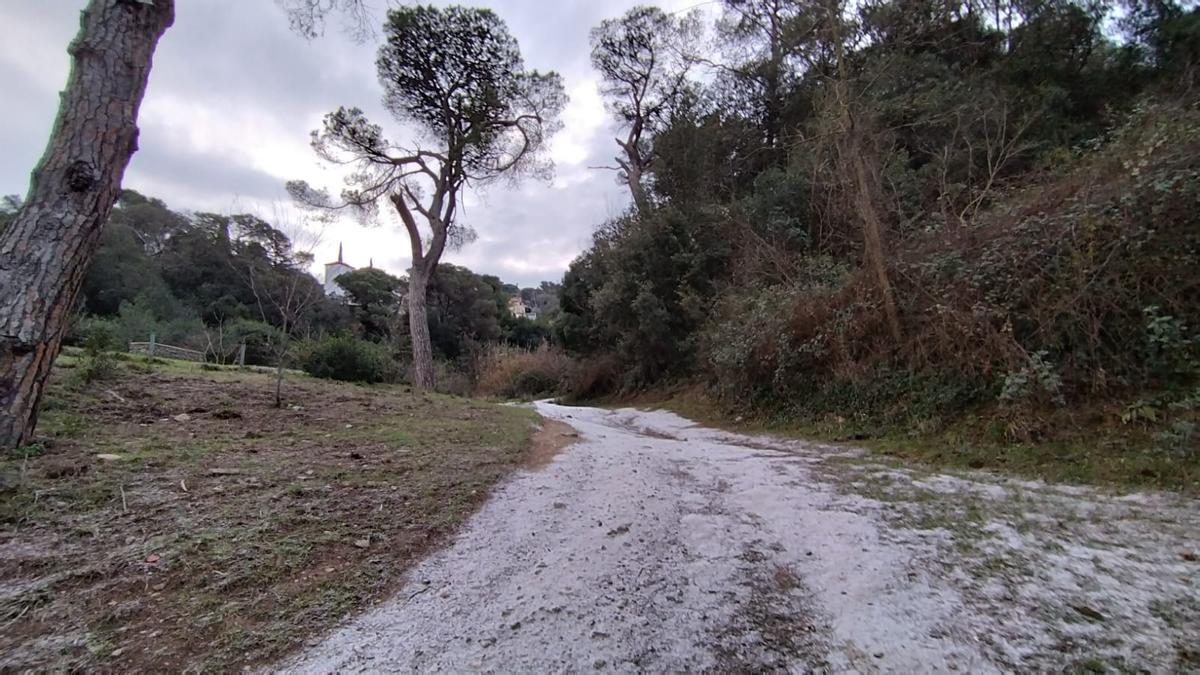 Nevada en la Serra de Collserola, Santa María de Vallvidrera