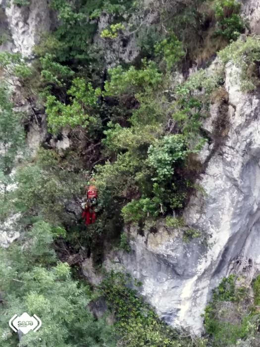 Un hombre resulta Ileso tras caer desde treinta metros de altura en la ruta del Cares.