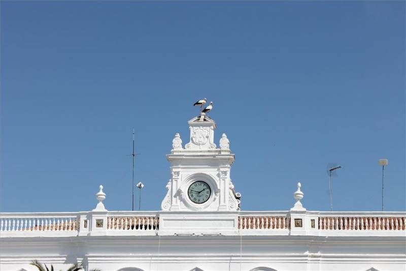 Matanza didáctica de Llerena en imágenes