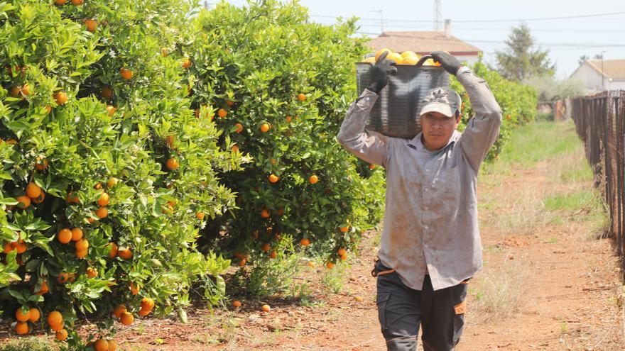 La Unió considera insuficientes las medidas del Gobierno para ayudar a la agricultura