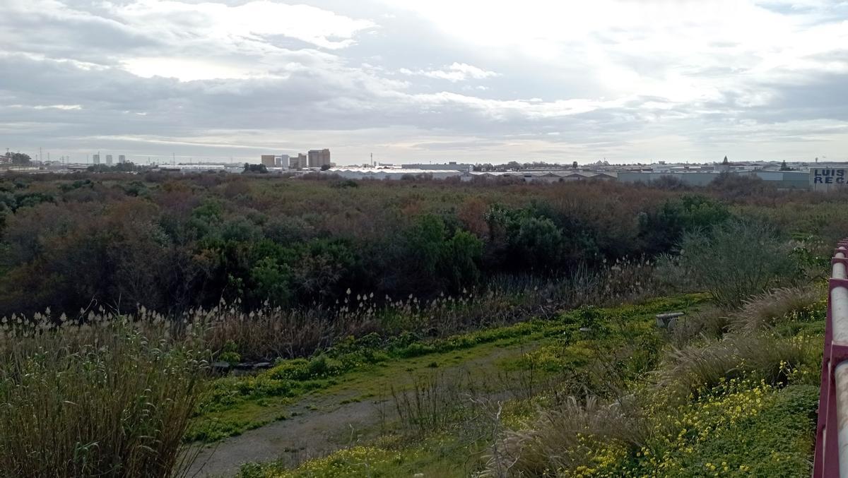 Vista de la Laguna de Los Prados desde la Carretera Azucarera-Intelhorce.
