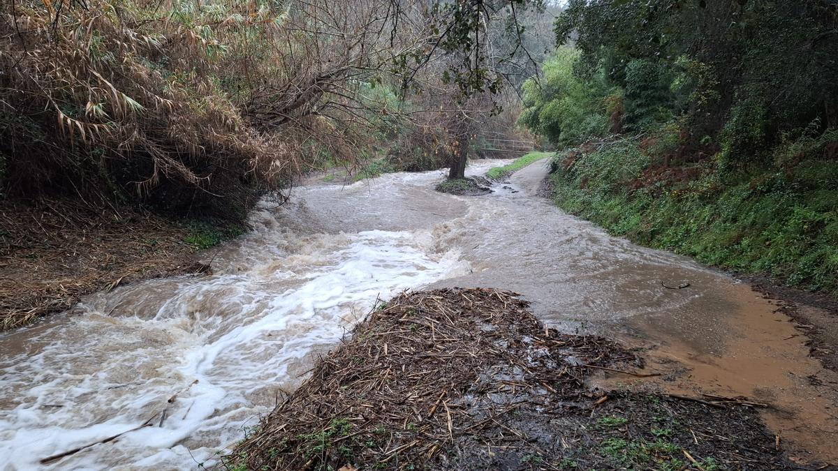 Les fotos dels efectes de la llevantada a les comarques gironines