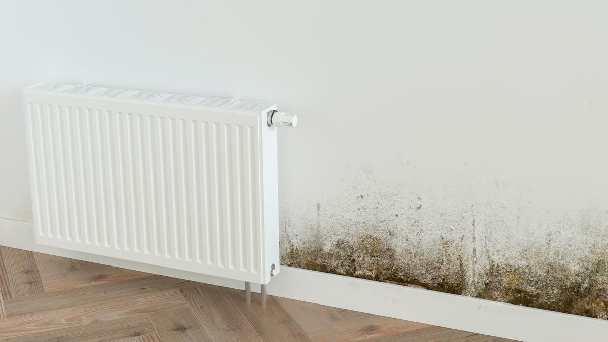 Perjudica gravemente a la salud pero puede eliminarse sin esfuerzo: los trucos más fáciles y baratos para acabar con el moho en el hogar