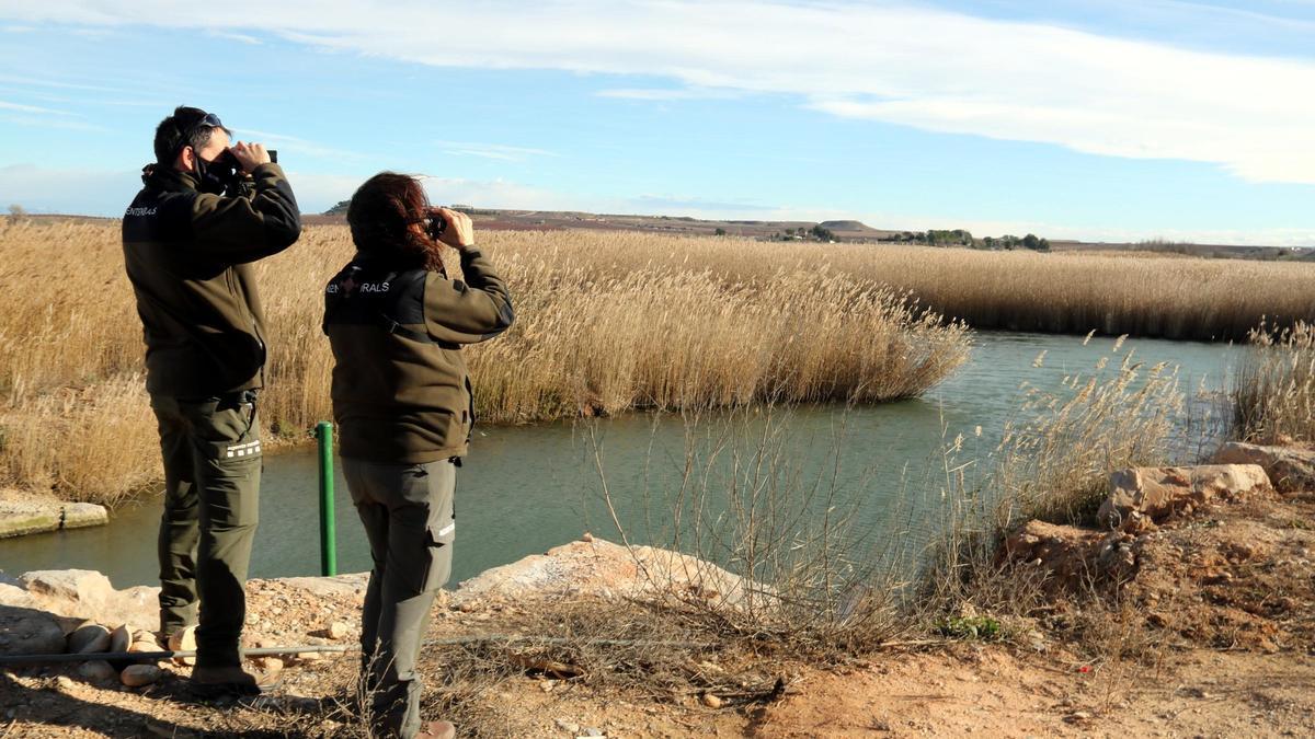 Pla obert amb dos efectius dels Agents Rurals inspeccionant un pantà