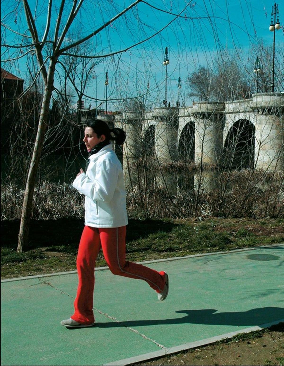 Puente Mayor sobre el río Carrión.