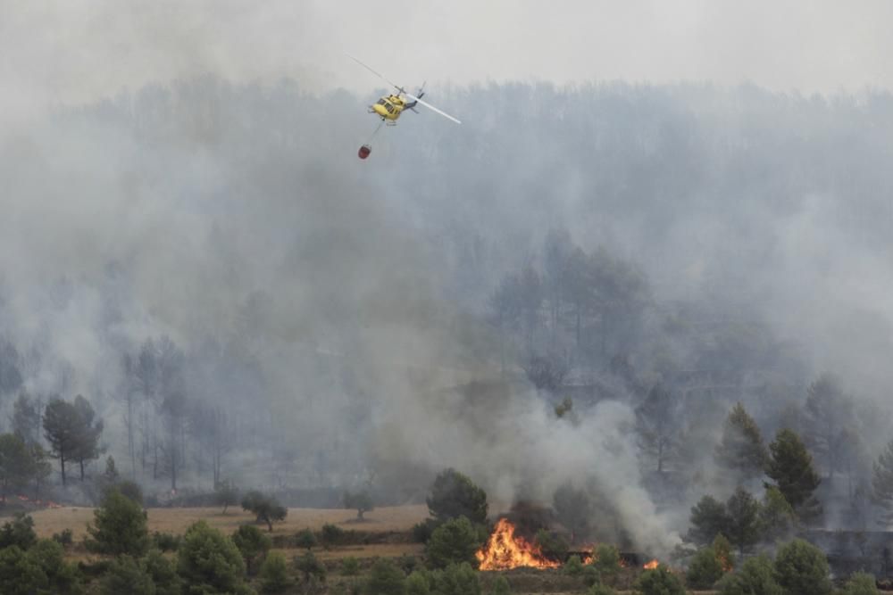 Así fue el incendio de Torremanzanas (agosto,2012)