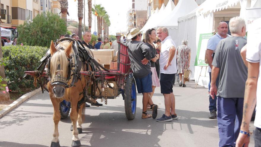 La Fira Agrícola de Nules, en imágenes