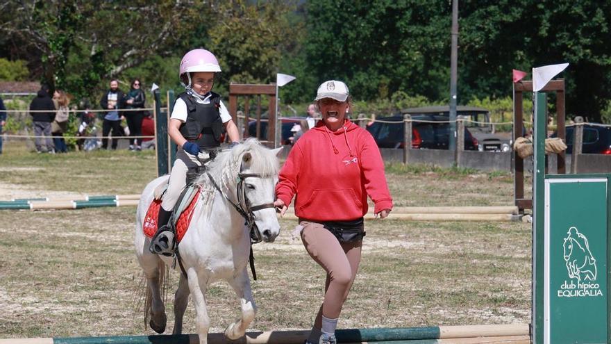 Tui celebra su tradicional concentración caballar de San Telmo con actividades para todas las edades