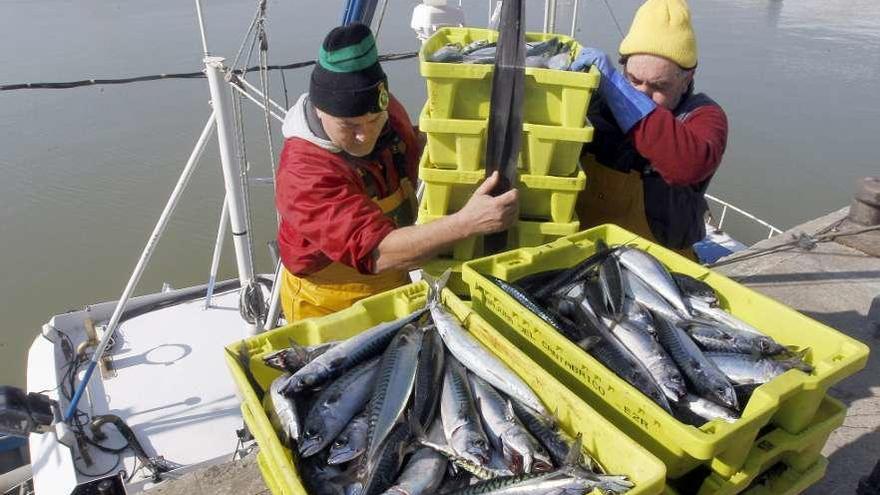 Bruselas niega un agravio contra el sector pesquero gallego en el reparto de caballa