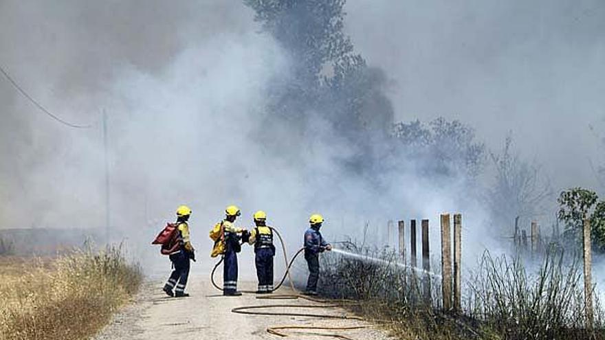 Els terrenys que es van cremar ahir a Figueres.