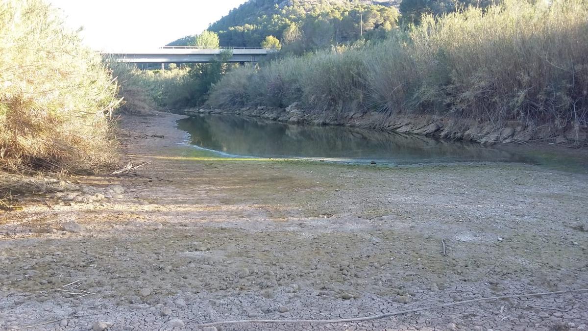 Así (de mal) están los ríos Serpis y Vernissa por la sequía Así (de mal) están los ríos Serpis y Vernissa por la sequía