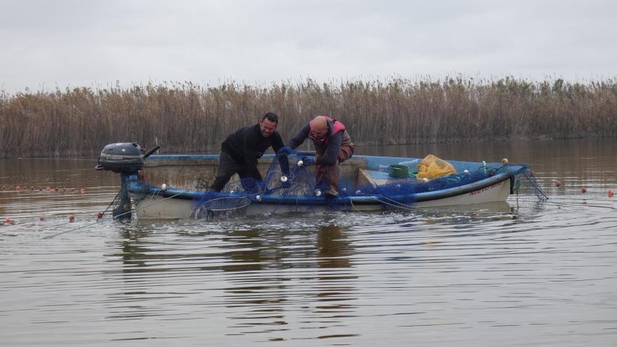 Retiran 30 toneladas de carpas de El Hondo a través de la pesca artesanal