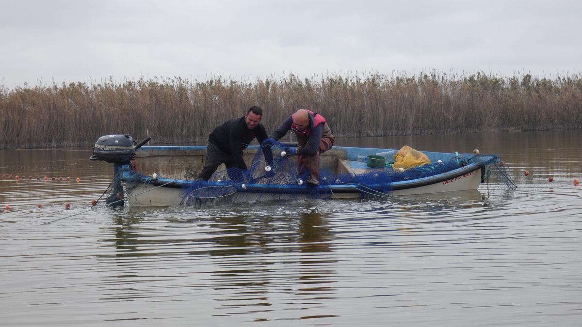 Pesca artesanal en El Hondo para la captura de carpas y carpines.