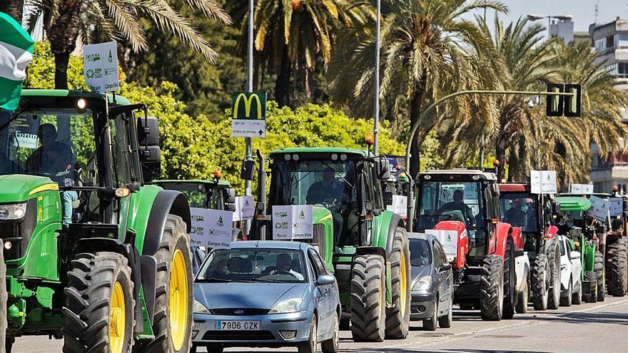 Los tractores gaditanos llenaron ayer las calles de Jerez de la Frontera.