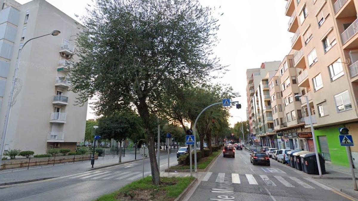 Calle manacor 85
