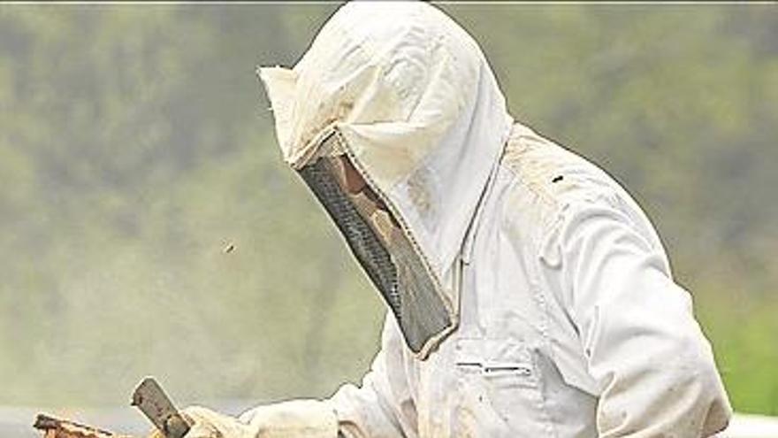 Apaex considera catastrófica la campaña de miel de esta primavera