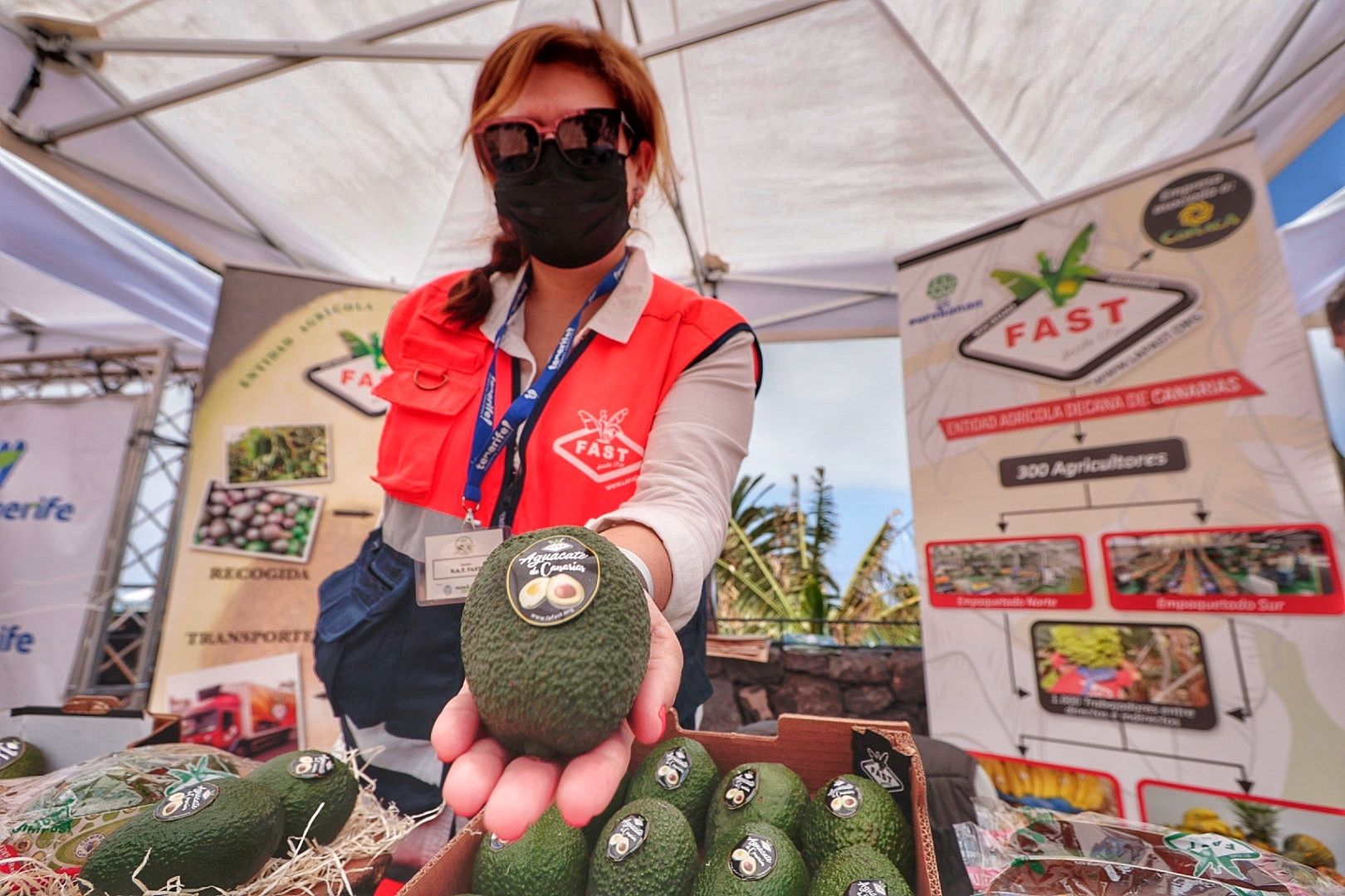 Feria del Aguacate en Tenerife