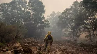 Más de 3,8 millones para prevenir incendios en dos comarcas zamoranas