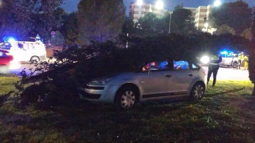 Vídeo | Accidente en la rotonda del Cuartillo de Cáceres