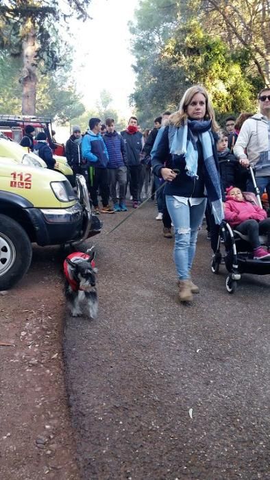 Llegada de la Santa de Totana al Rulo