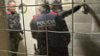 La presión policial dispara el número de detenidos por robos y hurtos en Catalunya