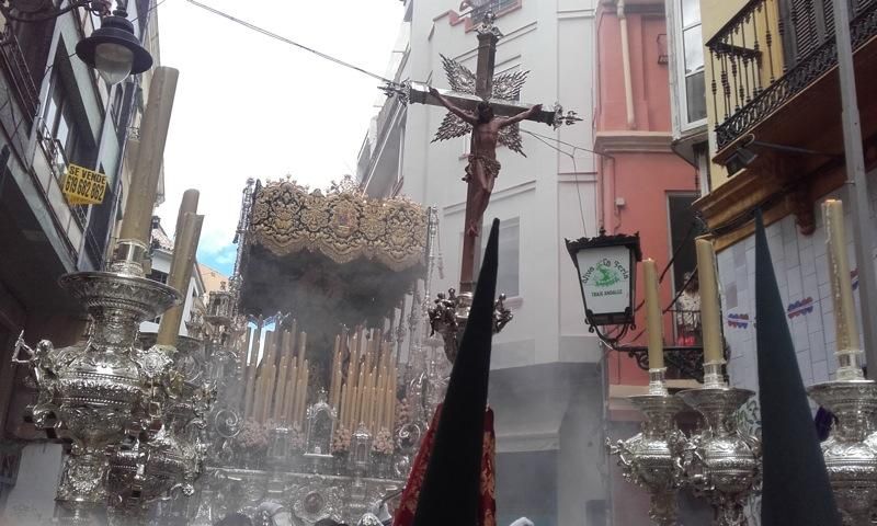 Domingo de Ramos de 2016 | Lágrimas y Favores