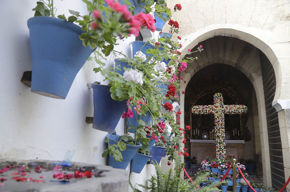 Asociación de Vecinos Alcázar Viejo