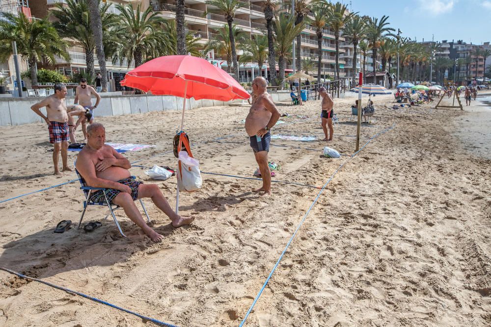 Primer día de baño autorizado en las playas de Torrevieja con arena parcelada y controles de acceso