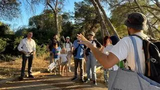 Cómo hacer un recorrido en barca por l'Albufera gratis durante el mes de julio