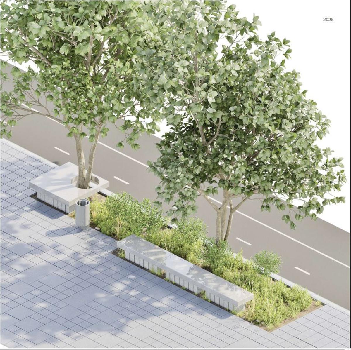 Armonización de la calle Colón