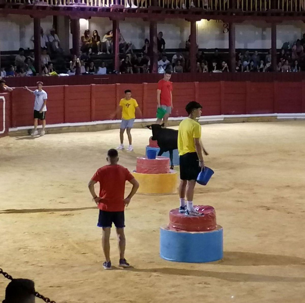 Los peñistas permanecen quietos ante la vaquilla. | M. J. C.