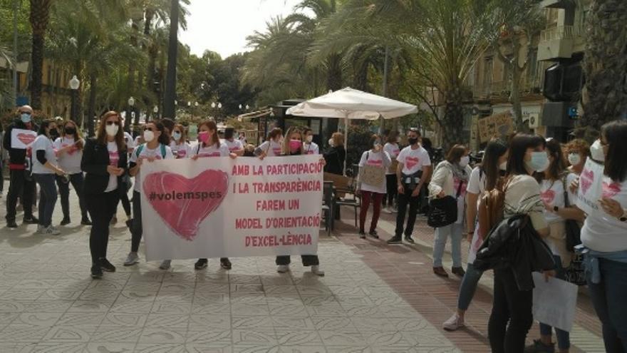 Profesionales de este servicio de toda la provincia, concentrados en Alicante para reclamar la continuidad de los SPE.