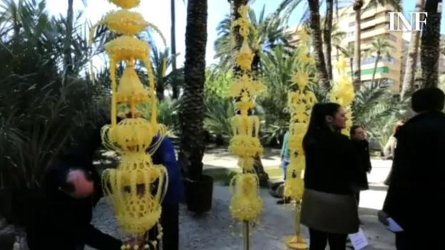 El Ayuntamiento de Elche envía hoy palmas rizadas al Papa, a la Reina, al obispo Murgui y a Mariano Rajoy para el Domingo de Ramos