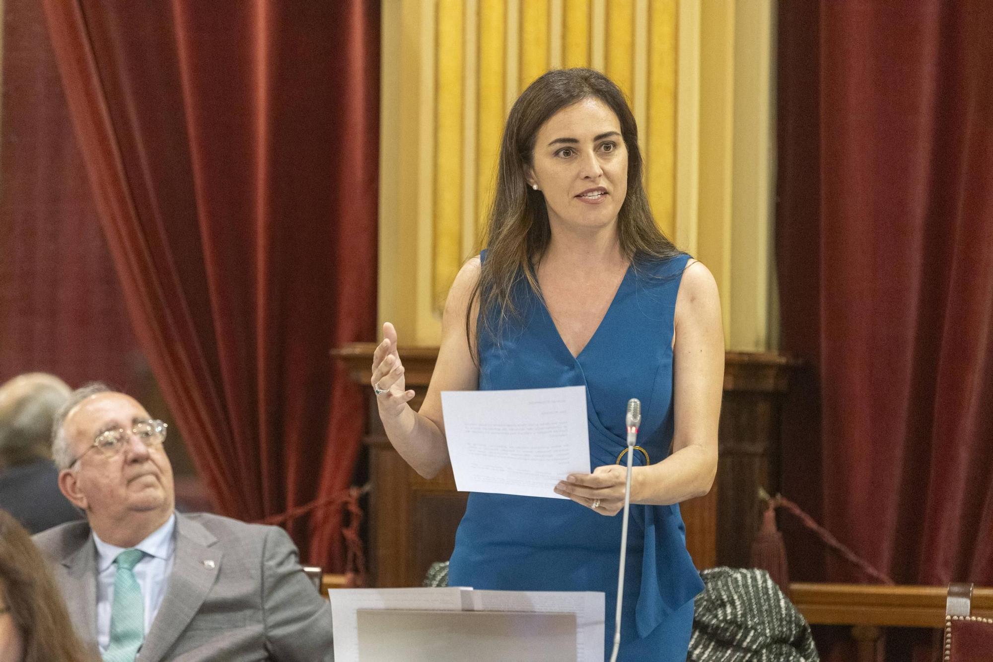 El pleno del Parlament, en imágenes