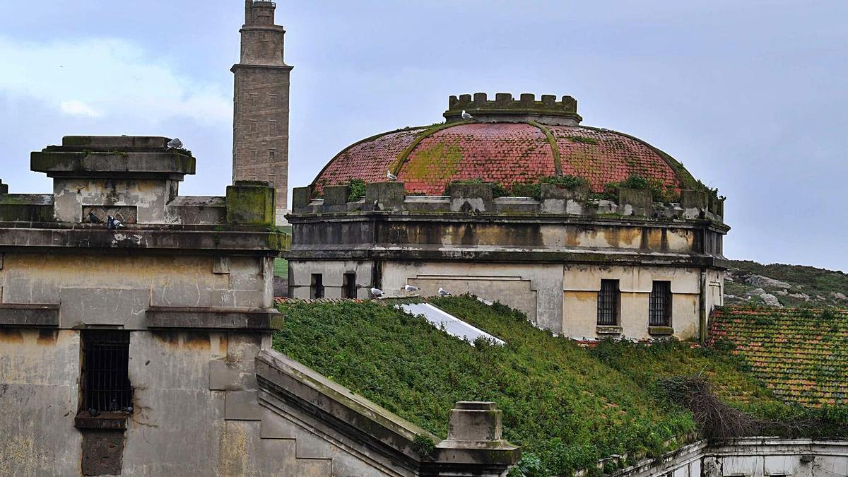 La cubierta de la antigua prisión provincial, invadida por la maleza.   | // VÍCTOR ECHAVE