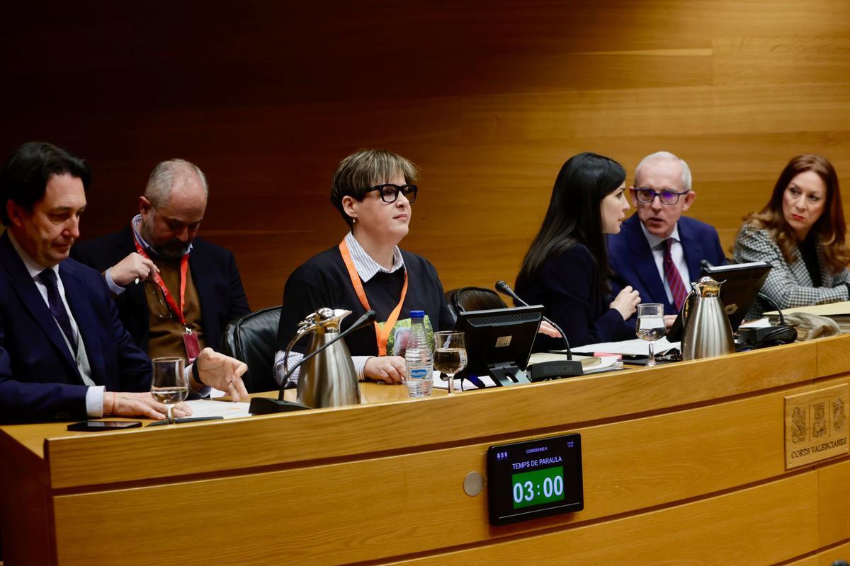 La coordinadora de Sos Desaparecidos, Sonia Fuster, en las Corts.