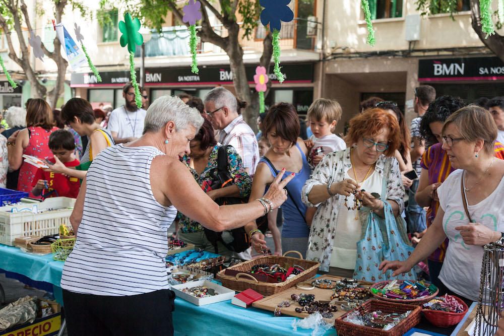 Diada del Medio Ambiente en Palma