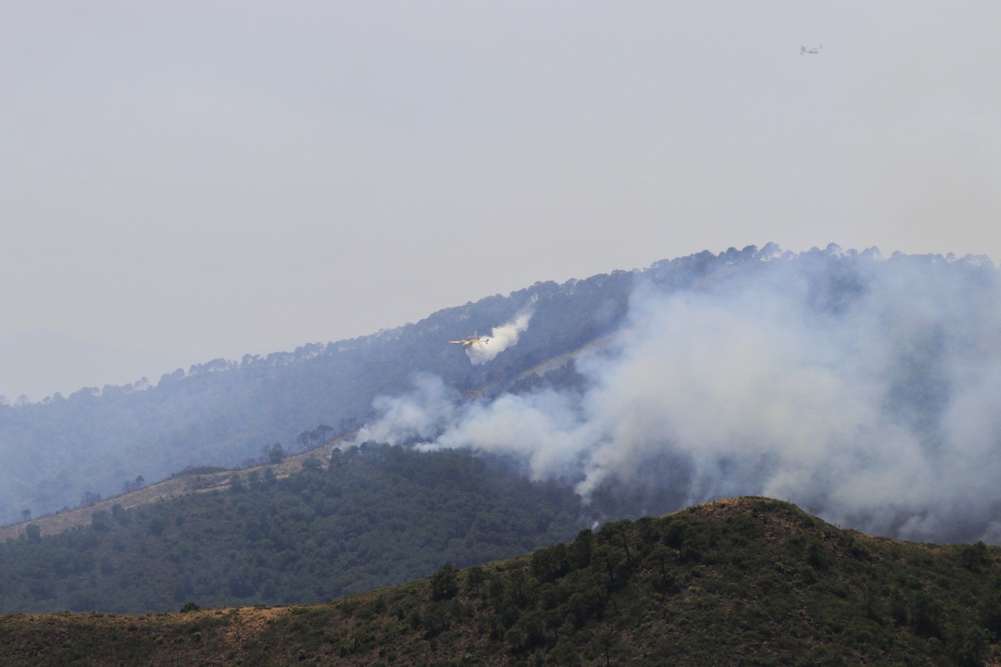 Un millar de efectivos trabajan para controlar el fuego de Sierra Bermeja