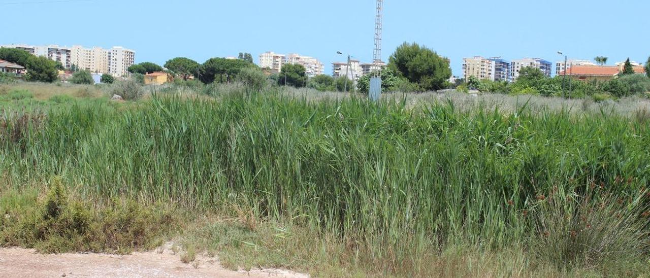 Imagen de parcelas donde estaba proyectado el ambicioso PAI del Golf.