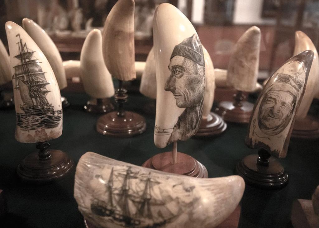 Dientes de cachalote en el Peter Café Sport.