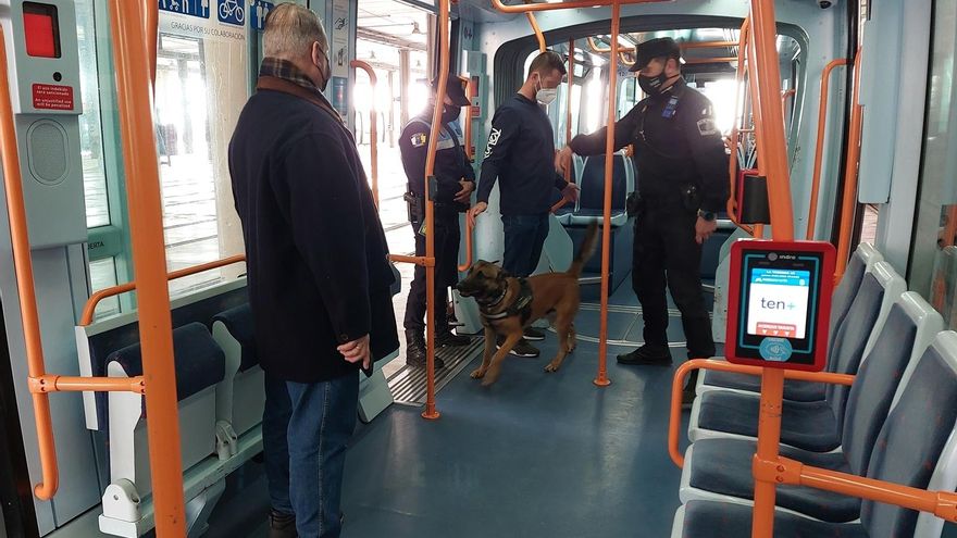 Agreement to allow animals access to public transport in Tenerife