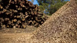 Asturias 'entierra' el carbón': la biomasa ya es la fuente primaria de energía con más peso en la autonomía