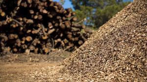 La biomasa puede ser empleada en muchas aplicaciones