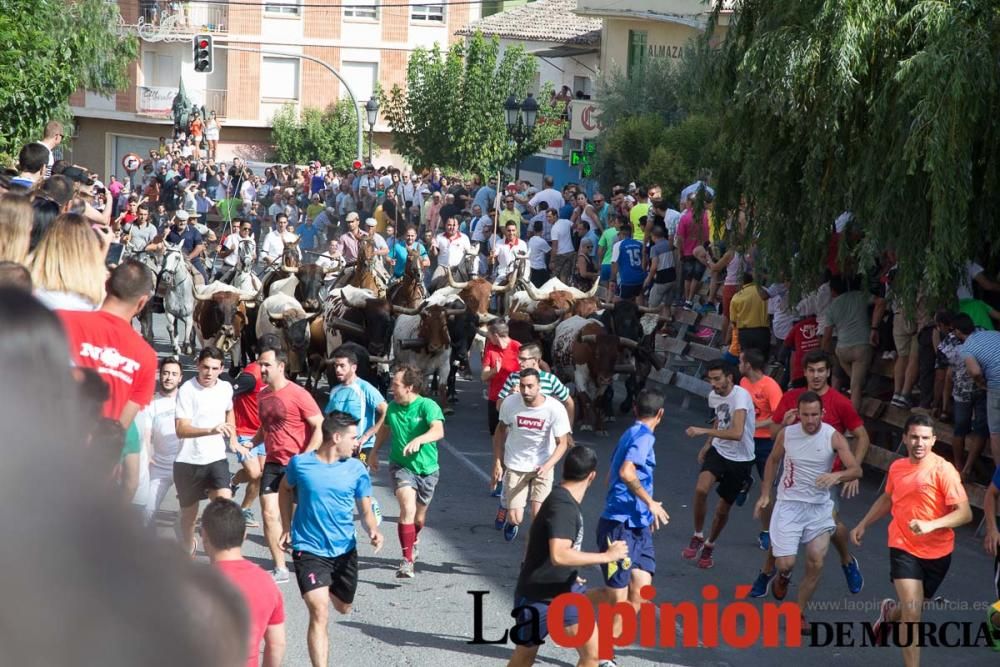 Quinto encierro en Moratalla