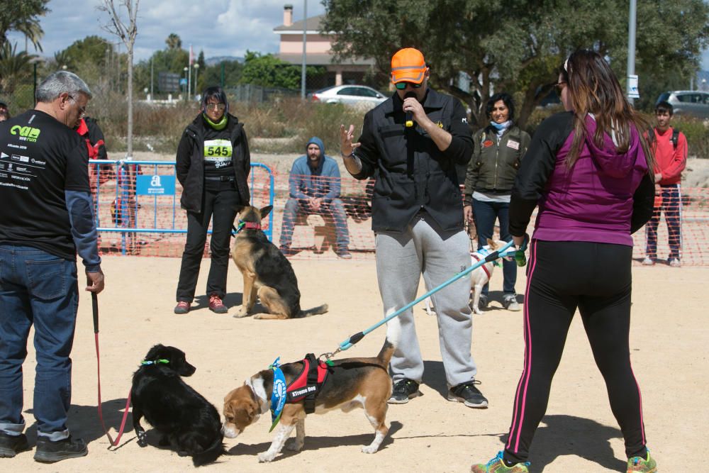 Can We Run: Gran carrera de perros para la concienciación animal