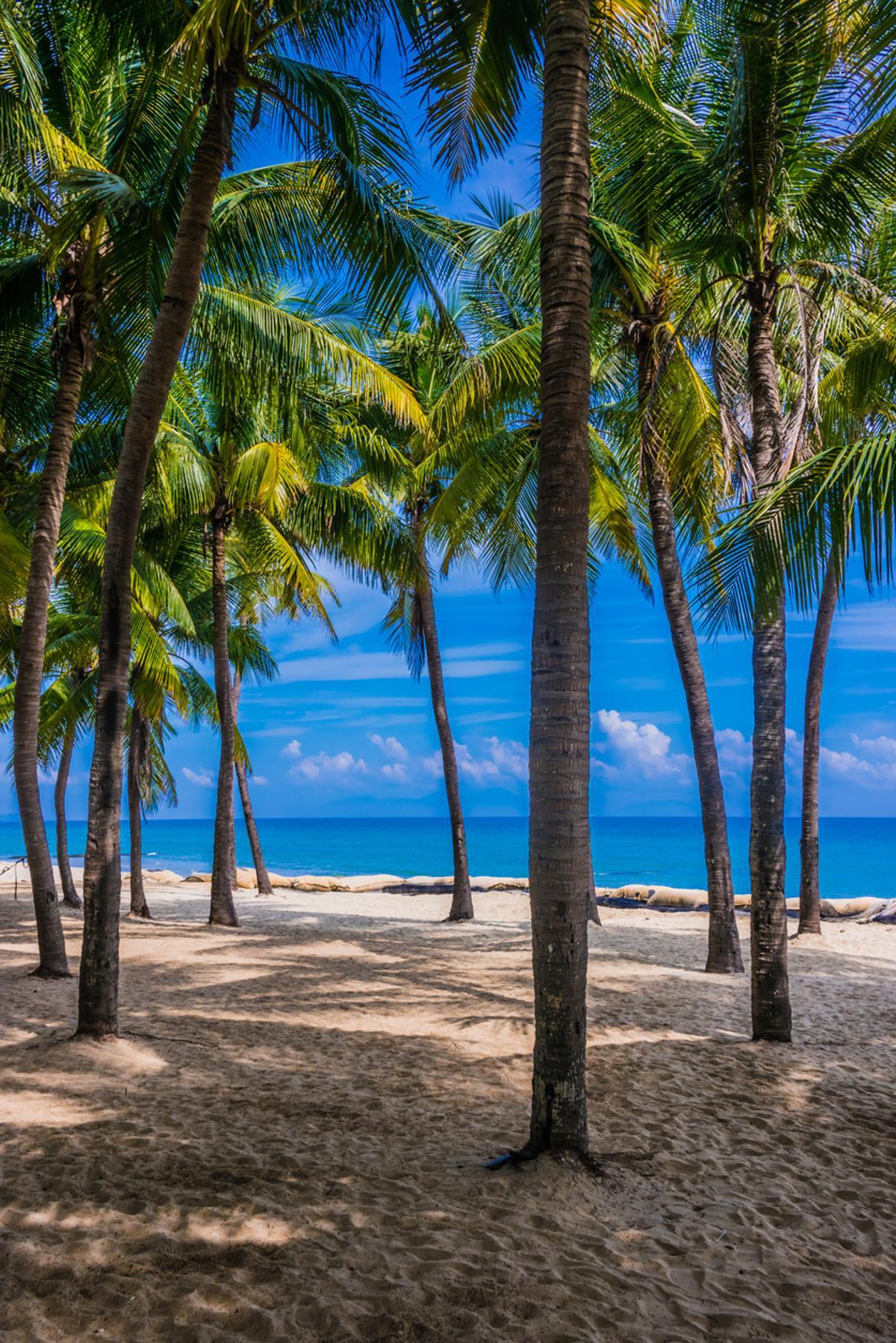 La playa de Cua Dai es un lugar ideal para descansar.