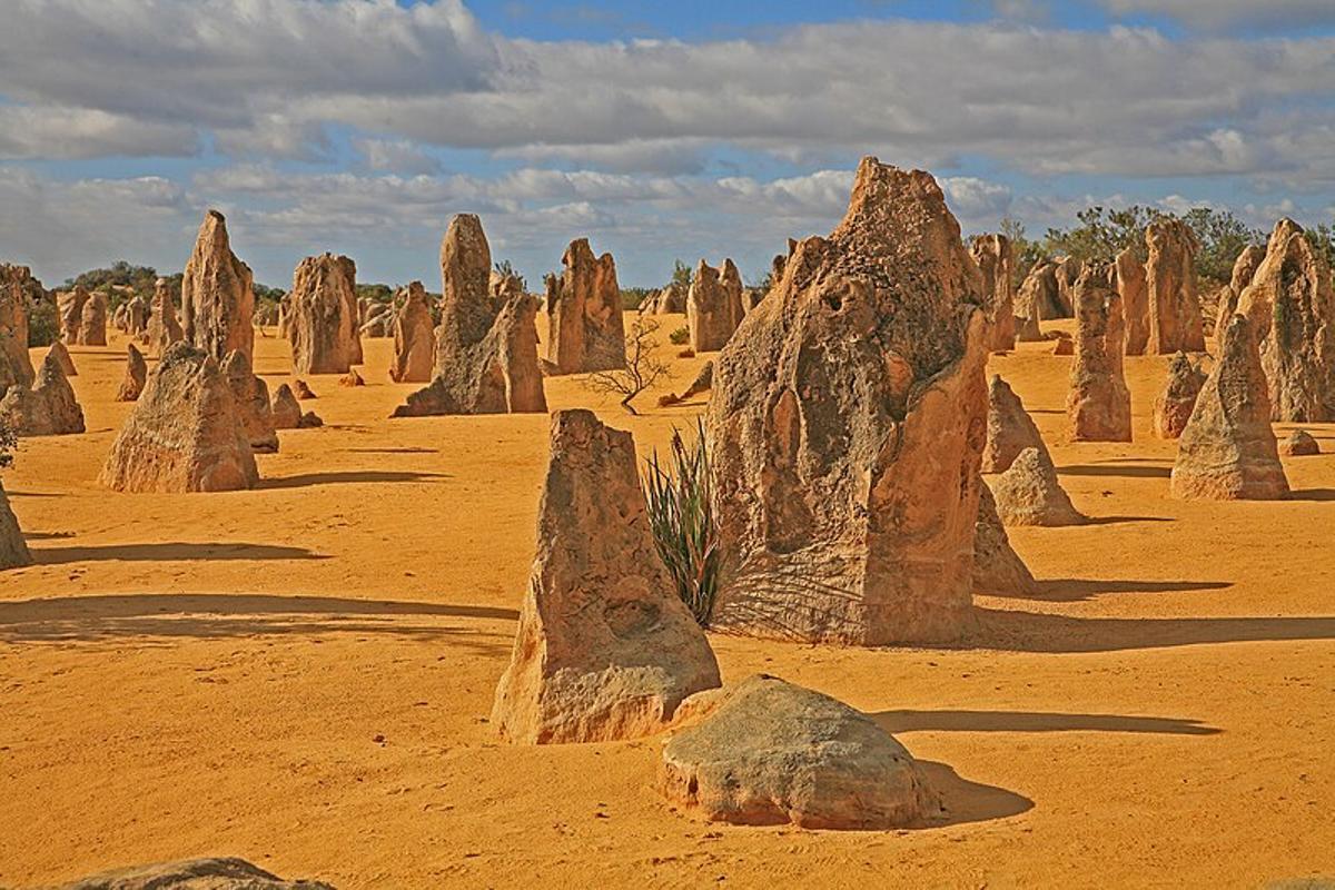 Nambung National Park en Cervantes