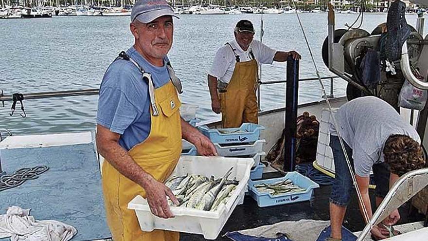 Pescadores del Port d&#039;Alcúdia descargando cajas de &#039;llampuga&#039; tras una jornada.