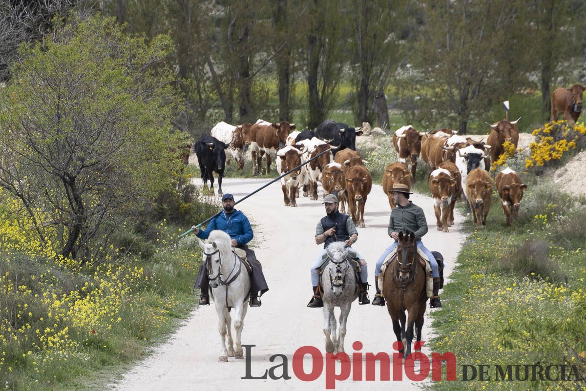 Jornada de Trashumancia en Caravaca